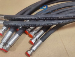 Hydraulic Hose For Free Fall Lifeboat Davit